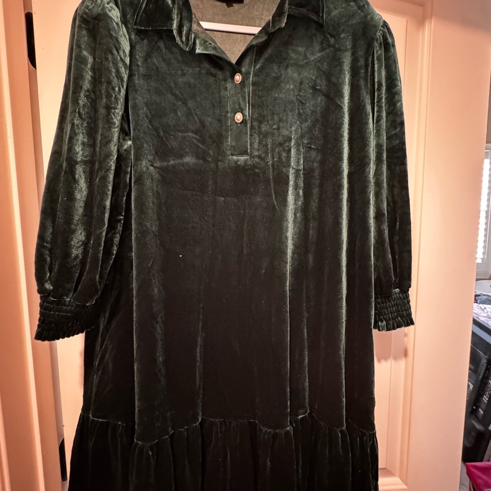 Luxurious Dark Green Velvet Long Sleeve Dress